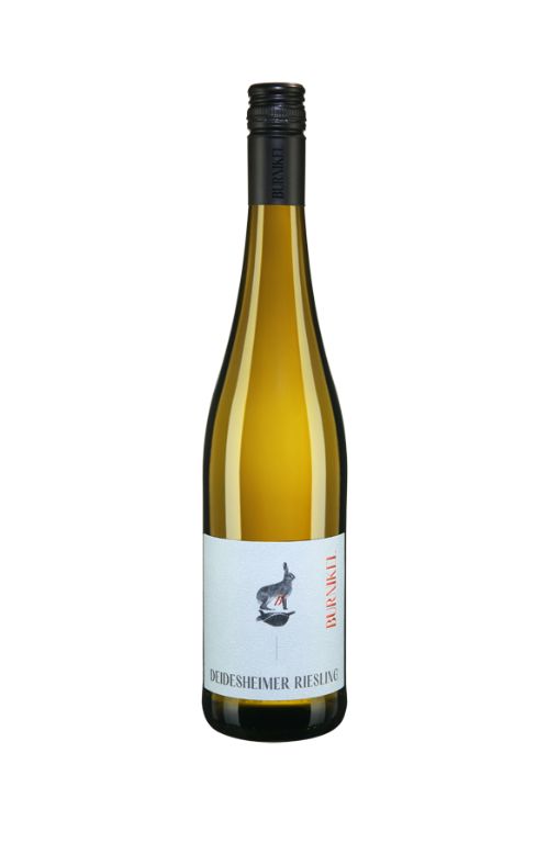 Deidesheimer Riesling trocken 2023  BIO