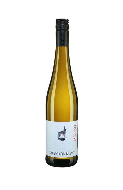 Sauvignon Blanc trocken 2023  BIO