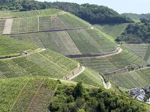 Weinregionen in Deutschland