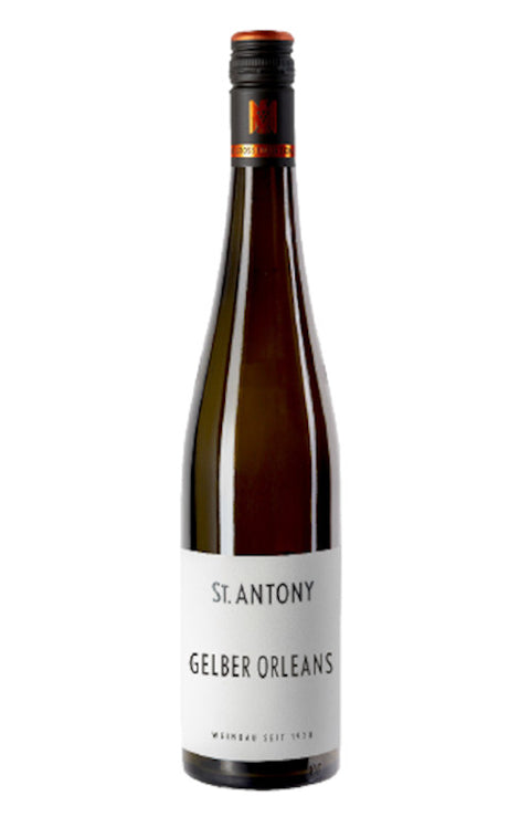 Gelber Orleans trocken 2024  BIO