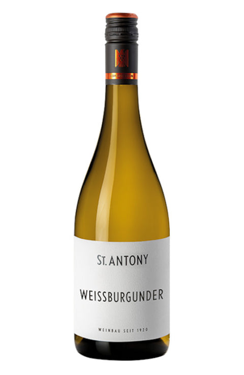 Weißburgunder trocken 2025 BIO